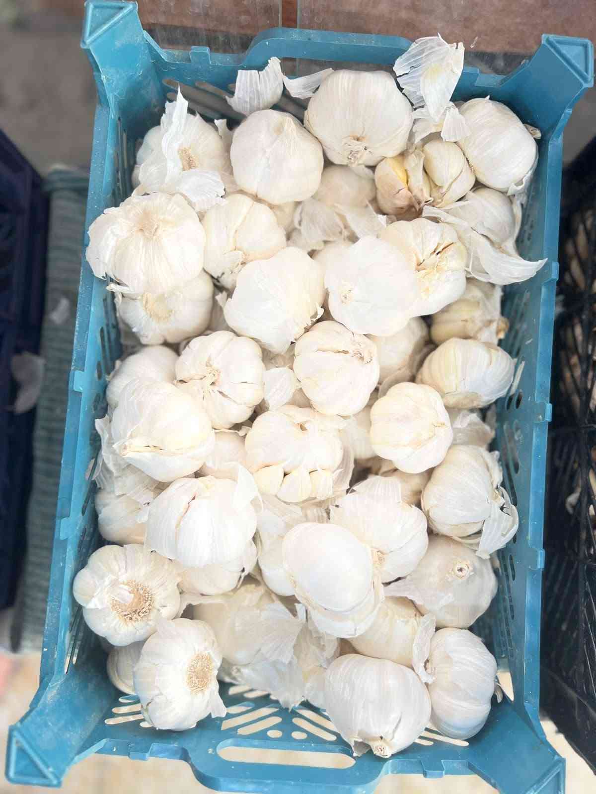 خضار وفواكه • عروض اليوم • علوة الطائي