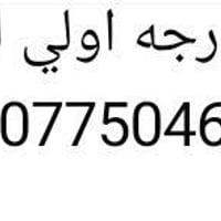 كادر مصري • درجة اولى • صبغ سيراميك