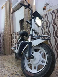 دراجة شحن • حجم ١٤ • الشعب بغداد