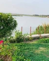 وبركاته  مزرعة للبيع ملك صرف مطلة على نهر دجلة موقعها شاطئ التاجي منطق...