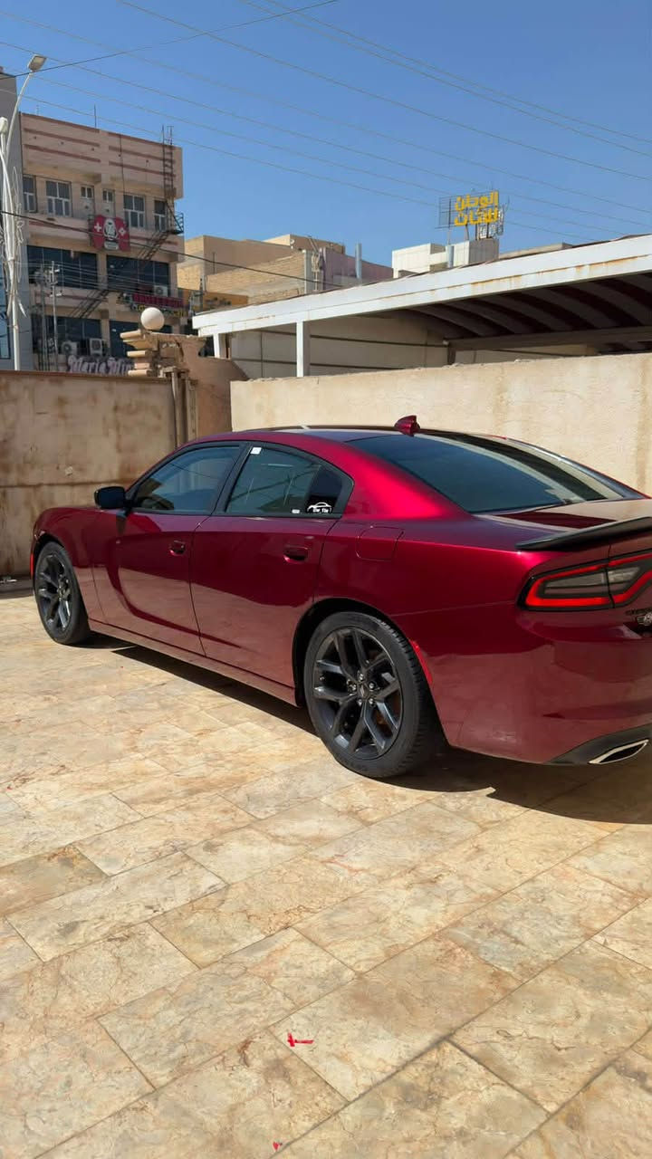 سلام عليكم للبيع جارجر sxt بلاك توب 2023 رقم بغداد الدولي بأسمي مداور ثاني يوم لون كرزي 🍒 كفالة عامة تقرير تعمل و تسير ماشية 44 ميل السيارة جاهزة حدادية و تخم تاير حديد و تبريد قطعتين و شاشة جبيرة تحكمات ستيرن ويل 20 و باقي مواصفات البلاك توب معروفة السعر 235 و بيها مجال بسيط للشراي مكاني ناصرية مركز.
للأستفسار *********** .
