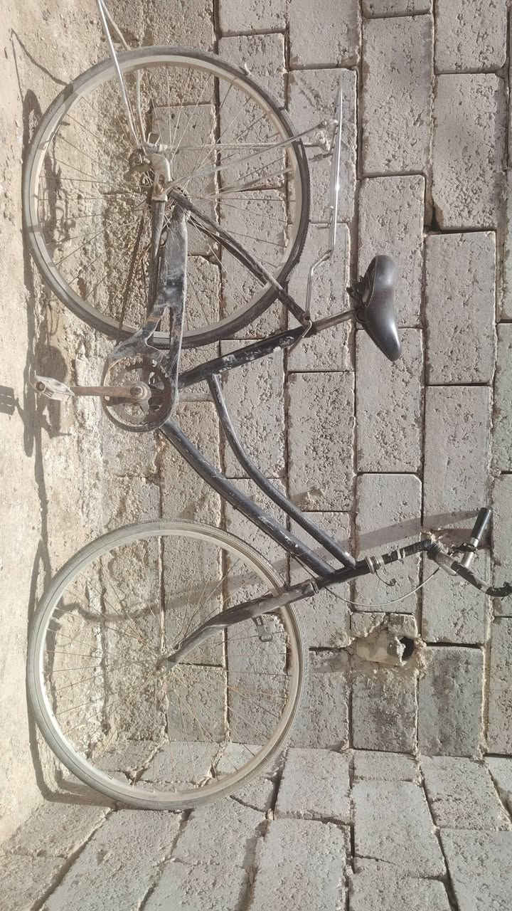 للبيع عنوان ديوانيه الاتصال ***********
