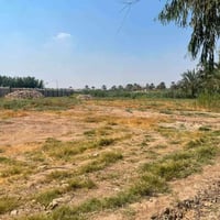 الزعفرانية • ٤ دوانم • مزارع