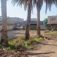 المدائن بغداد • ١٠٩٢م • ملك صرف