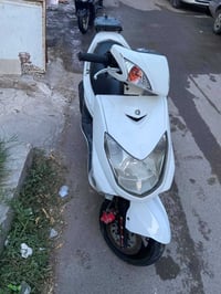 سكنس فحل • كابريتر • اوراق كامله