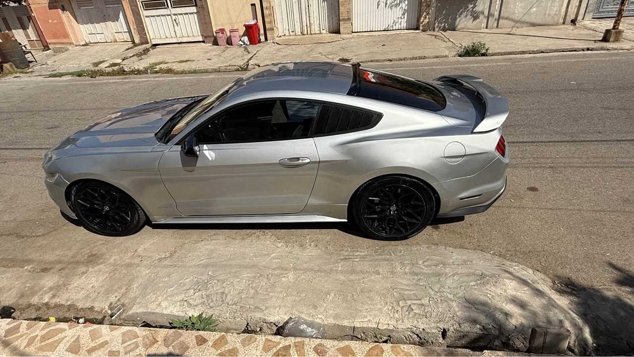 موستنك ٢٠١٥ v6 رقم اربيل سنوية وهزة جديدة 
بجم كبس صندوك كبس 
داخل شاصي ايرباك كفاله 
كير مكينة اكسل تبريد كفاله 
السياره عليها وياله وتايرات بلباكيت 
دبات HT بور بوابات 
OBD شاشة سرعة وكل تفاصيل السيارة

سعر ١١٥ 
مكانها موصل 
*********** موصل, نينوى
