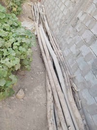 ٢٢ عمود • ٤ متر • ٣ ونص