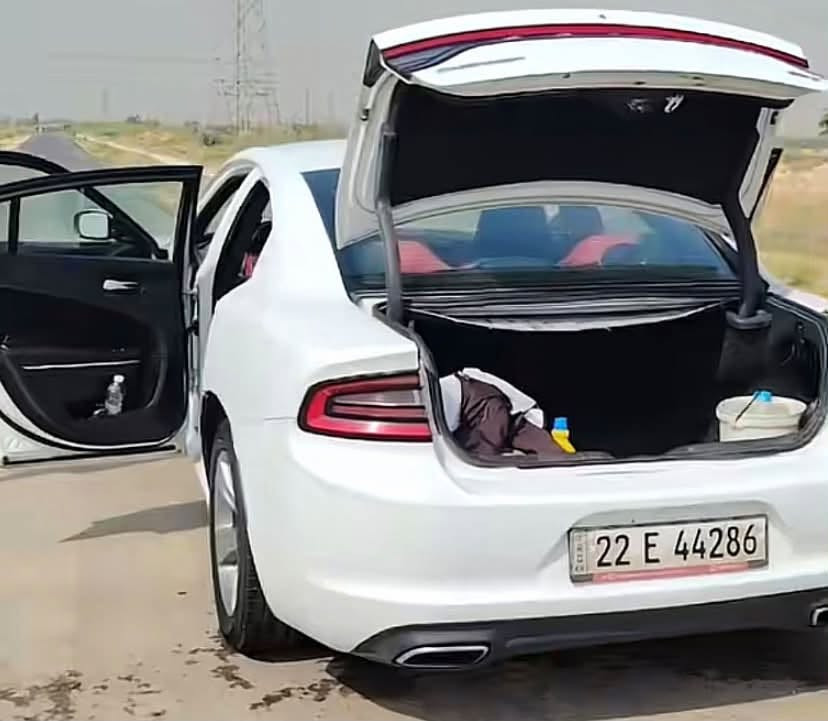 جانجر للبيع سانويه بسمي اي وقت تتحول بسمك للبيع والبيعه مستعجل اتصل على هذ رقم ***********
