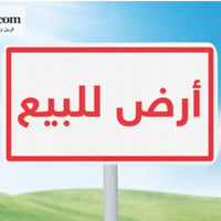 دونم • زراعي • بين الجسرين