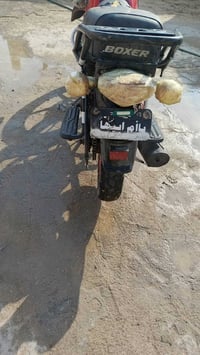 بوكسر • موديل ٢١ • اوراق كامله