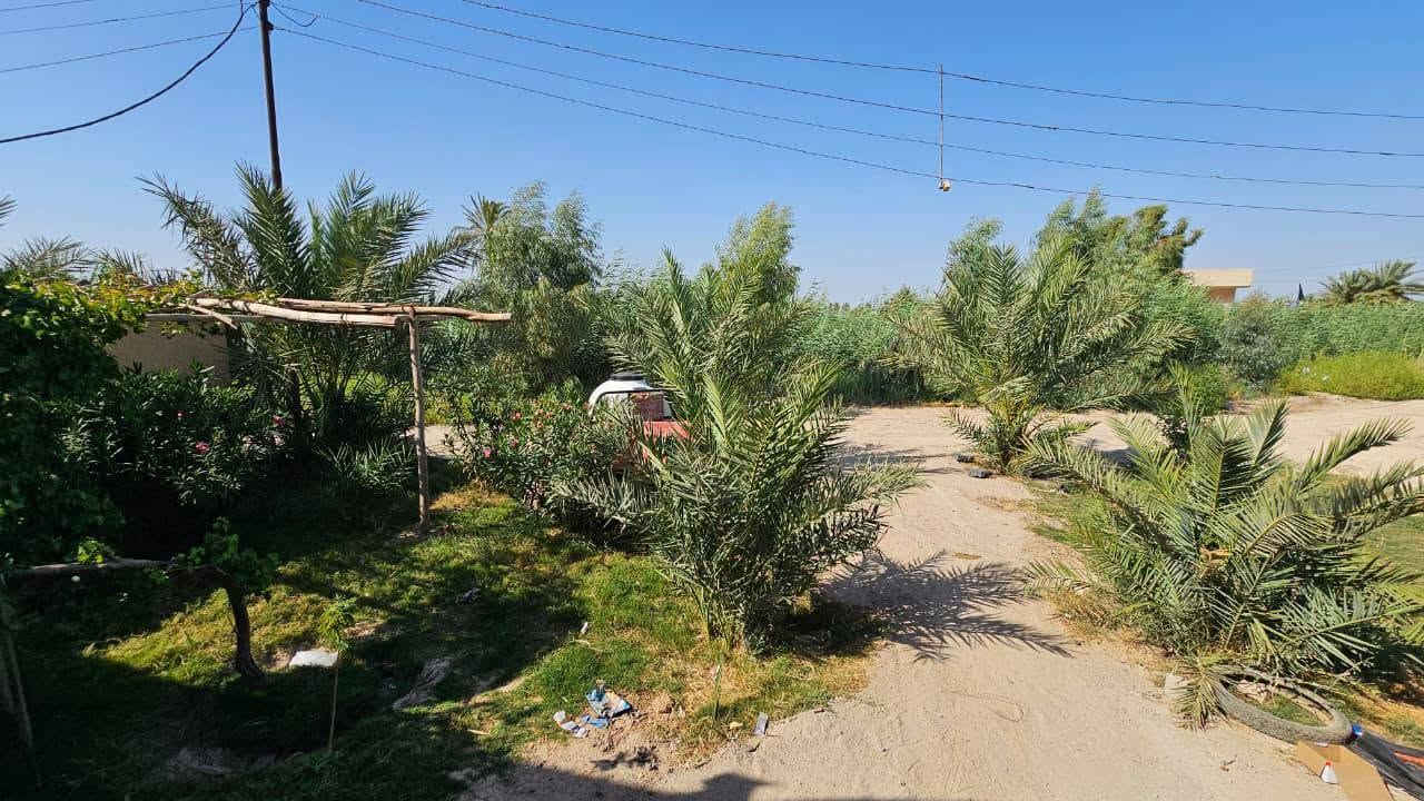 عقار  في كربلاء💯
✅️دونمين للبيع واجهه 24 متر 
وجه على بزل رئيسي مباشر 
مع بيت مساحة البيت 400 متر 
غرف نوم عدد خمسة سويت 
استقبال، صالة، مطبخ، صحيات 

✅️متوفرة كافة الخدمات
، ماء، كهرباء، مدارس 
طابو سند 25 تحويل أسهم 

✅️الموقع كربلاء - منطقة الجذار 
شارع نجف كربلاء عمود 1141
يبعد عن شارع التبليط 500 متر 
يبعد عن شارع الزوار  5 كيلو 
يبعد من مركز مدينة كربلاء 15 كيلو

💰السعر 250 مليون  عقاري كربلاء 

📍فقط العنده فلوس وجاهز للشراء يتصل 

📞 ***********
