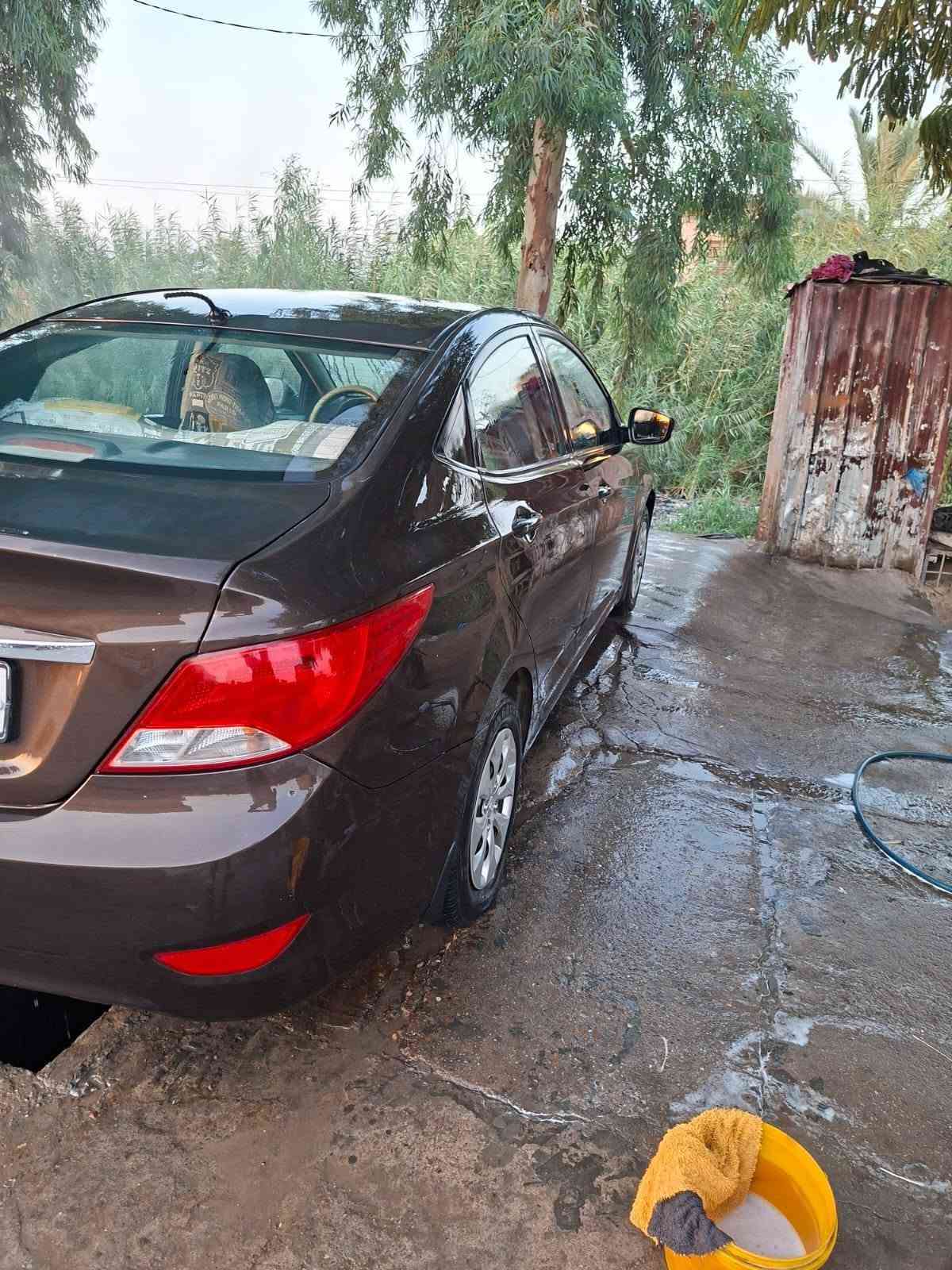 اكسنت • ٢٠١٦ • بابين