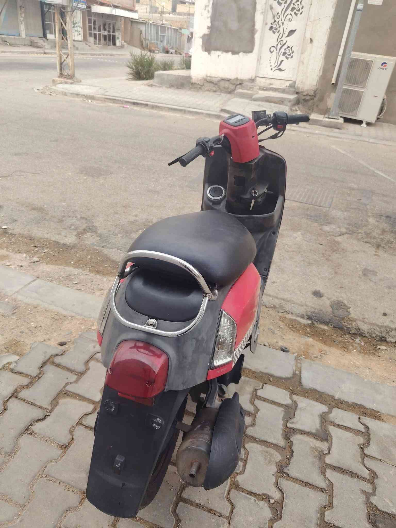ماكس بوليس • مكفول • جديد