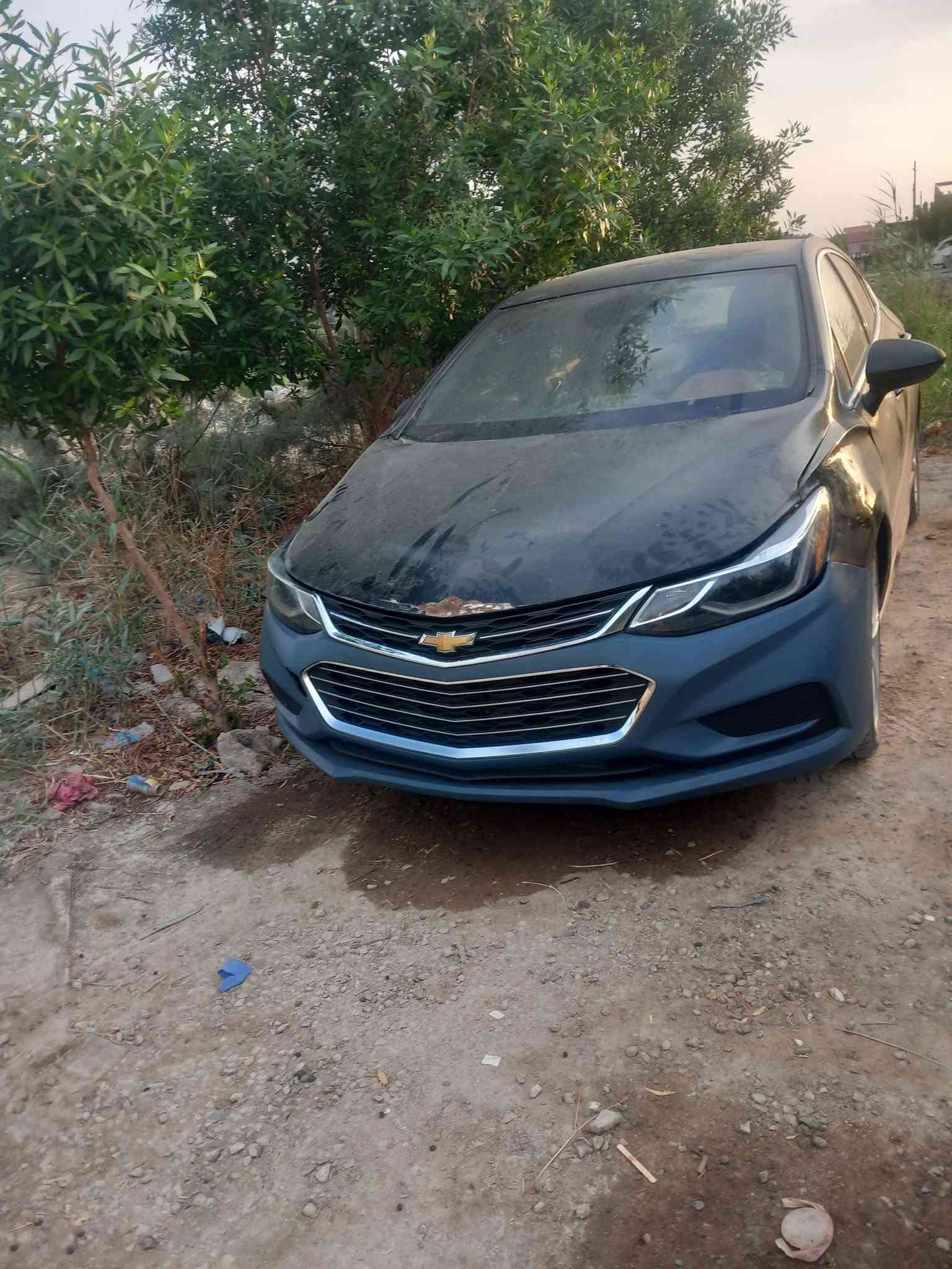 شفر كروز • ٢٠١٨ • يحتاج برمجه