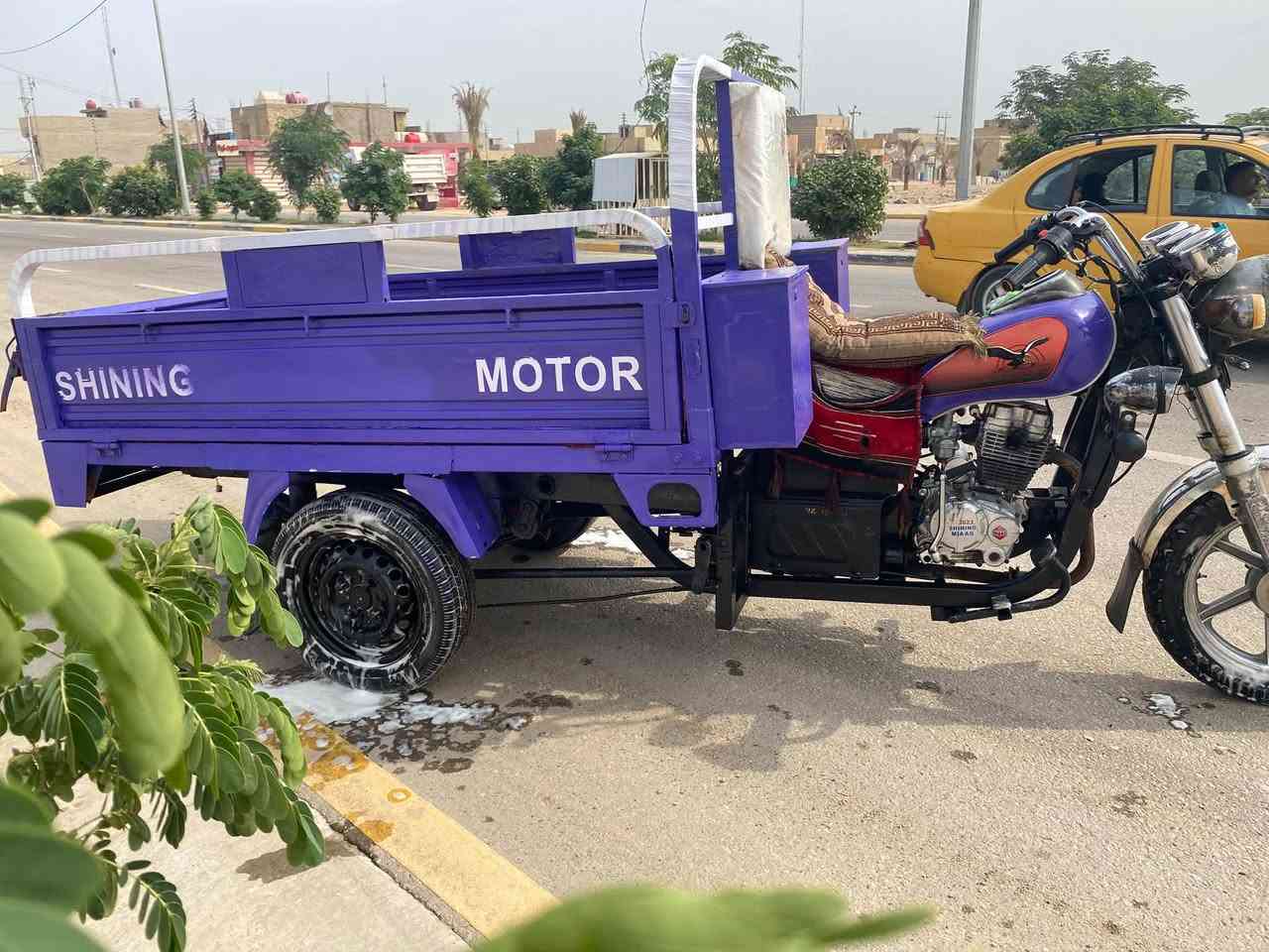 ستوته • موديل ١٩ • مكفوله