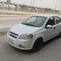 افيو • ٢٠١١ • مداور