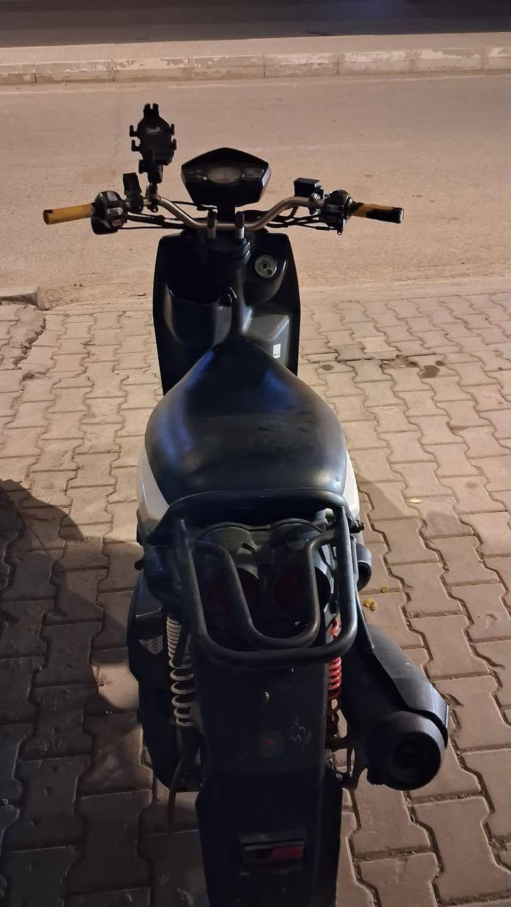 سكنس جبلي • جديدة • مجال قليل