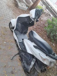 سكنس فحل • كامل • سلف هندر