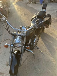 شادو • ٤٠٠ • بدون أوراق