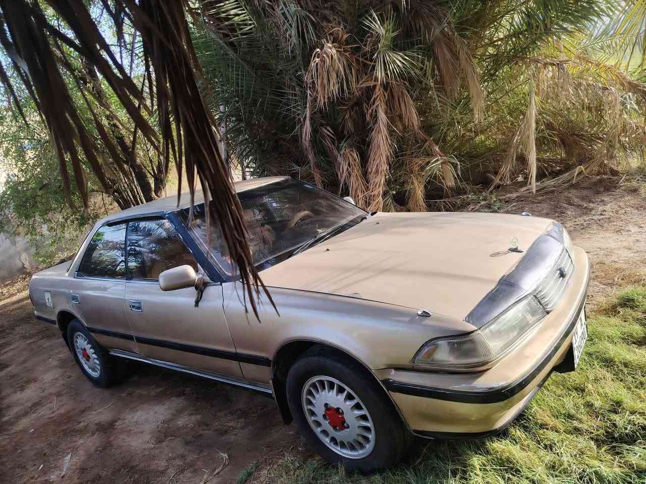 سلام عليكم سيارة البيع نوع مارك مديل 91 تفاصيل تصل على
رقم صاحب سيارة ***********
