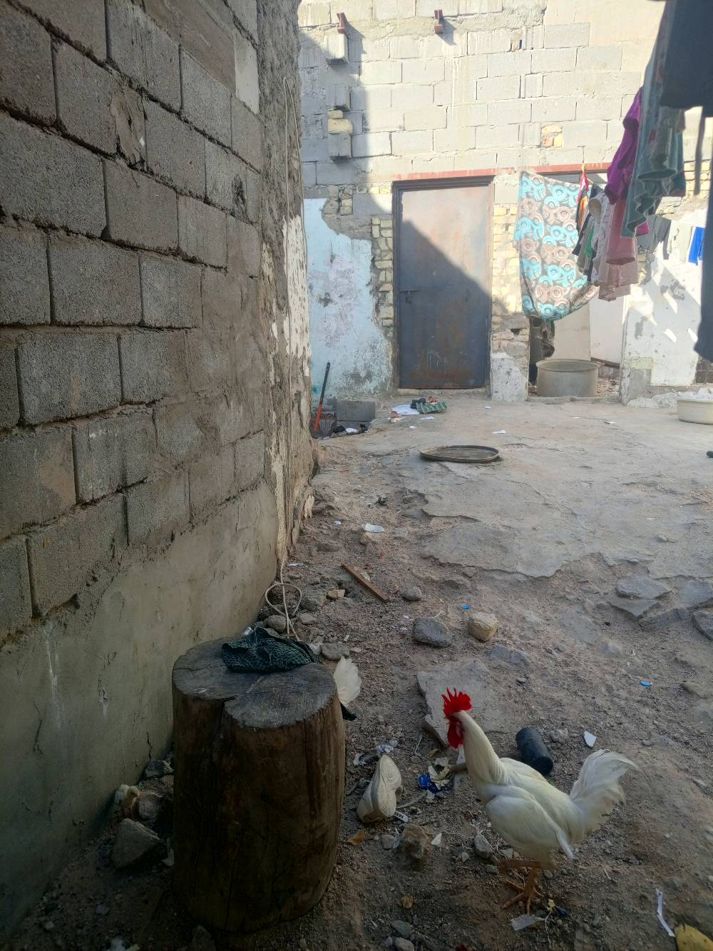 بيت للبيع مساحه 176 واقع حال يعتبر قطعه حي الحسين شارع موسى الكاظم 


خلف المغتسل بنص الولايه كل شيء قريب منه مستوصف مدارس للاستفسار ***********