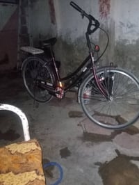 باسكل أصلي • مو صيني • نجف