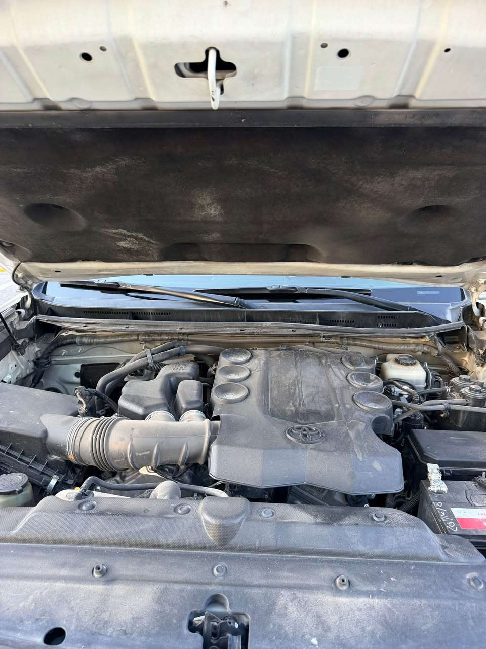 prado VX V6 2013 
مواسفات فول قبات سلايد سلاجه تحديل سورعه دبل سپير 
شريكه جيهان خليجي دعامي بو دعامي سبغ تحديل شوخت به شه رت لوك لوكه وه كو سفر 
گير مكينه به شه رت بورغي لي بانه دراوه 
سعر:٢٦٨$
شوين.هه ولير
*********** أربيل, العراق
