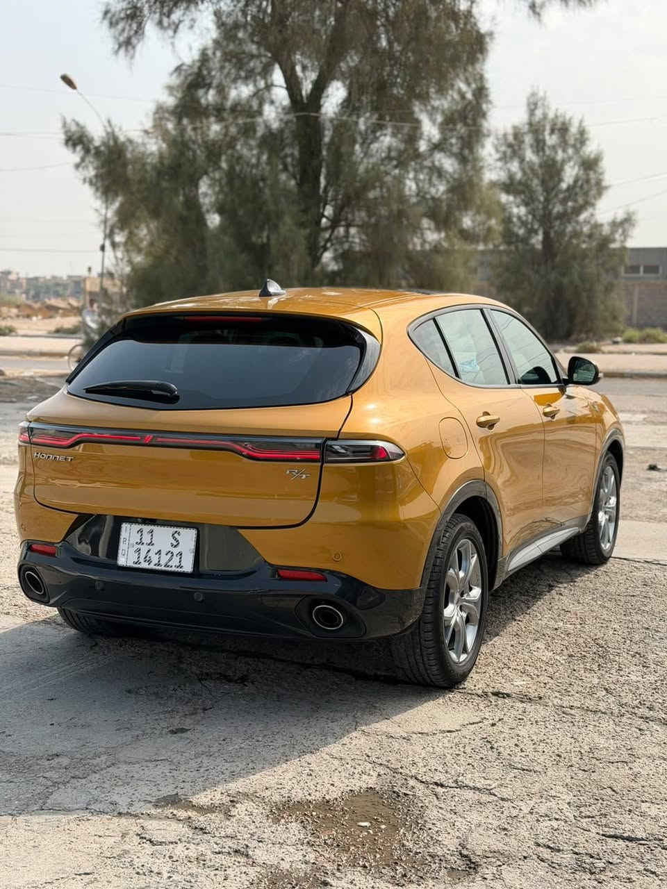 هورنت • ٢٠٢٤ • رقم بغداد