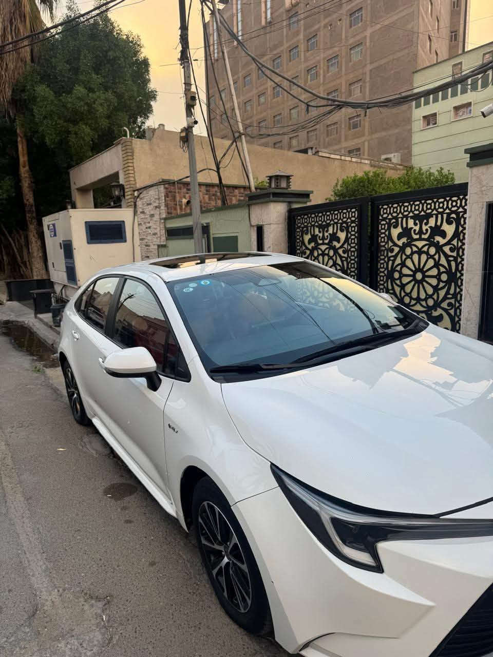 كورلا أمريكي • ٢٠٢٥ • رقم بغداد