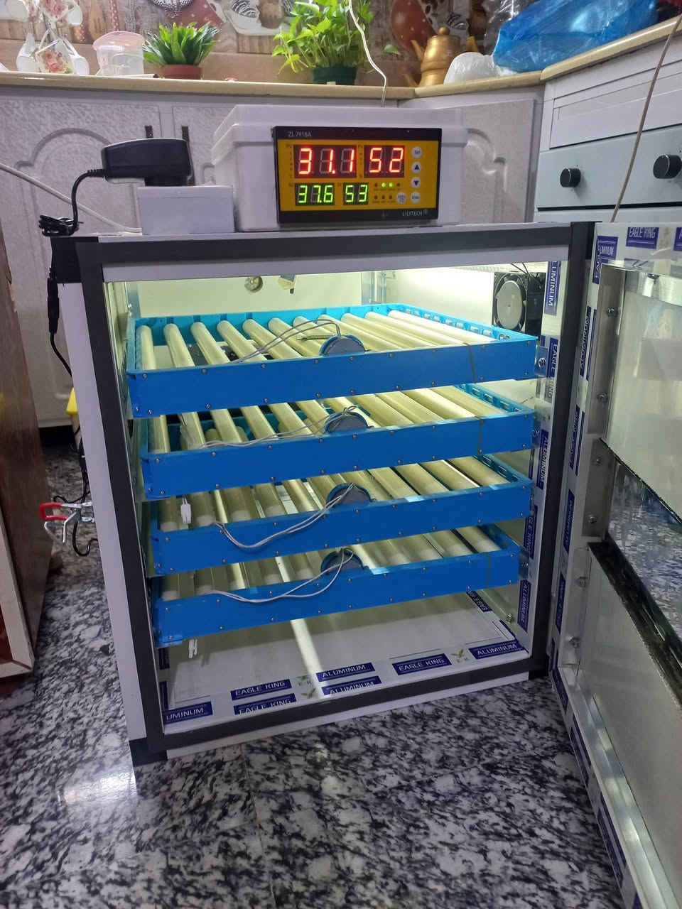 تجهز فقاسات 
تجهيز فقاسة ٣٠٠ بيضة إلى بغداد وديالى والنجف وكربلاء 
تجهيز فقاسة ٢٢٥ بيضة ديالى وبغداد والانبار وسامراء 
مستعد لتصنيع كافة أحجام الفقاسات ويوجد توصيل لجميع المحافظات 
***********
للحجز والسؤال عن الأسعار التواصل عبر الخاص او الاتصال ويوجد واتساب
