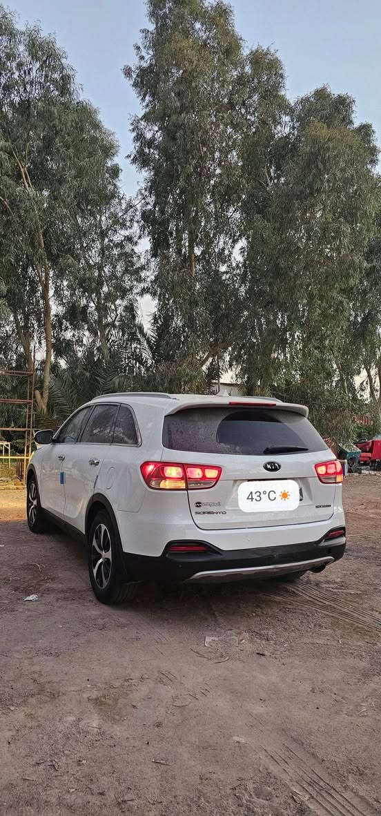 سورنتو كصة بجم فقط ب 75 ورقه نقل جثه ابيعك كلك ادوات
***********
