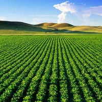 النعيمية • ٣٦م واجهة • مجاورة ليالي الفرات