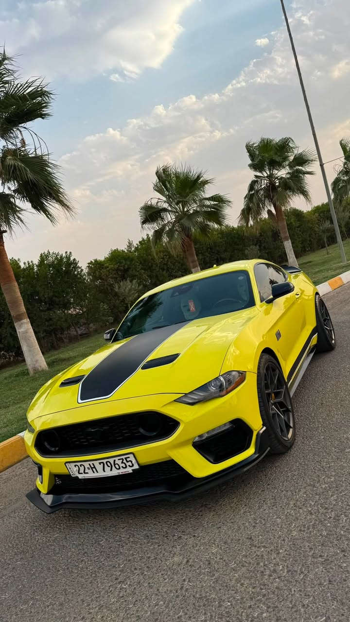 فورد موستنك ٢٠٢١ ماك ون اصل mach1 handling عربانة خلفية وامامية شيلبي معروفة مواصفات الهاندلينك بدون حادث بيها سرقة جامرلغ وراجع نفسه مكفولة من الحادث ماشيه ٣٩ الف ميل ٤ دبلات كهرباء جدد وتايرات مشلن جدد وعليها ادامة وبلكات ريسنك وهواي سوالف سيارة جديدة ونضيفه والوحيدة بالعراق بالنسبة للون والفئة 
مكانها كركوك وبااسمي 
للاستفسار ***********
سعرها ٢٩٠ ولتقارنها بلمهجومات هواي مكلفتني السياره الله يشهد
