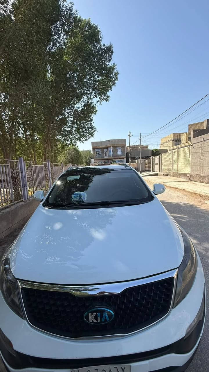 سبورتج • ٢٠١٥ • كفالة عامه
