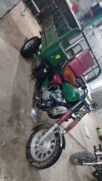 ستوته • ٢٠١٤ • شاصي مكفول