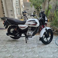 بوكسر • ٢٣ • مرقمه