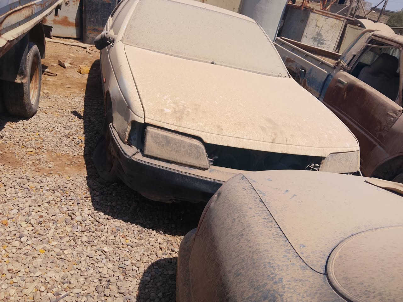 مال مزاد كلمن وسعرهه ***********
