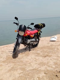 بوكسر جبلي • ٢٠١٩ • مدفوع كمرك