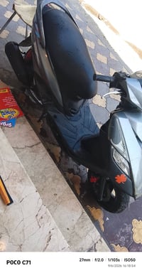 ثعلب • نضيفة • سلف