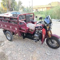 ستوته • ٢٠١٩ • مرقمه