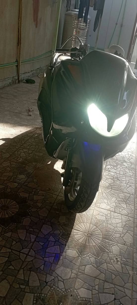 ماجيسته • دبل رون • رياضية
