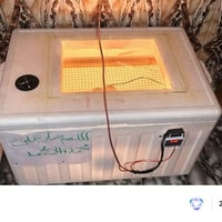 فقاسة • تقليب يدوي • ٨٠ بيضة