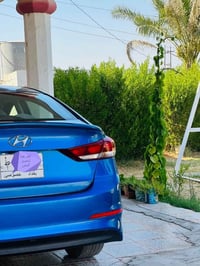 النترا • ٢٠١٧ • وارد امريكي