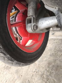 ثعلب • رياضي • حاويه