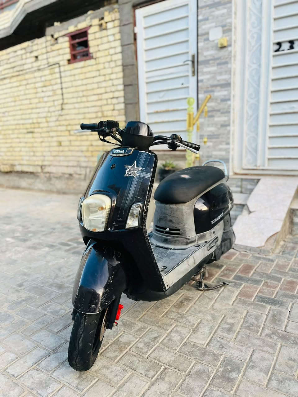 بوليس نوزل • ٢٠١٠ • بذنجاني
