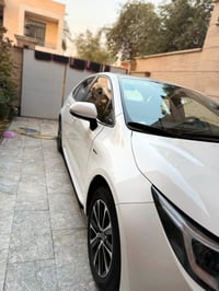 كورلا هايبرد • ٢٠٢٥ • ٢٠٠٠٠ كم