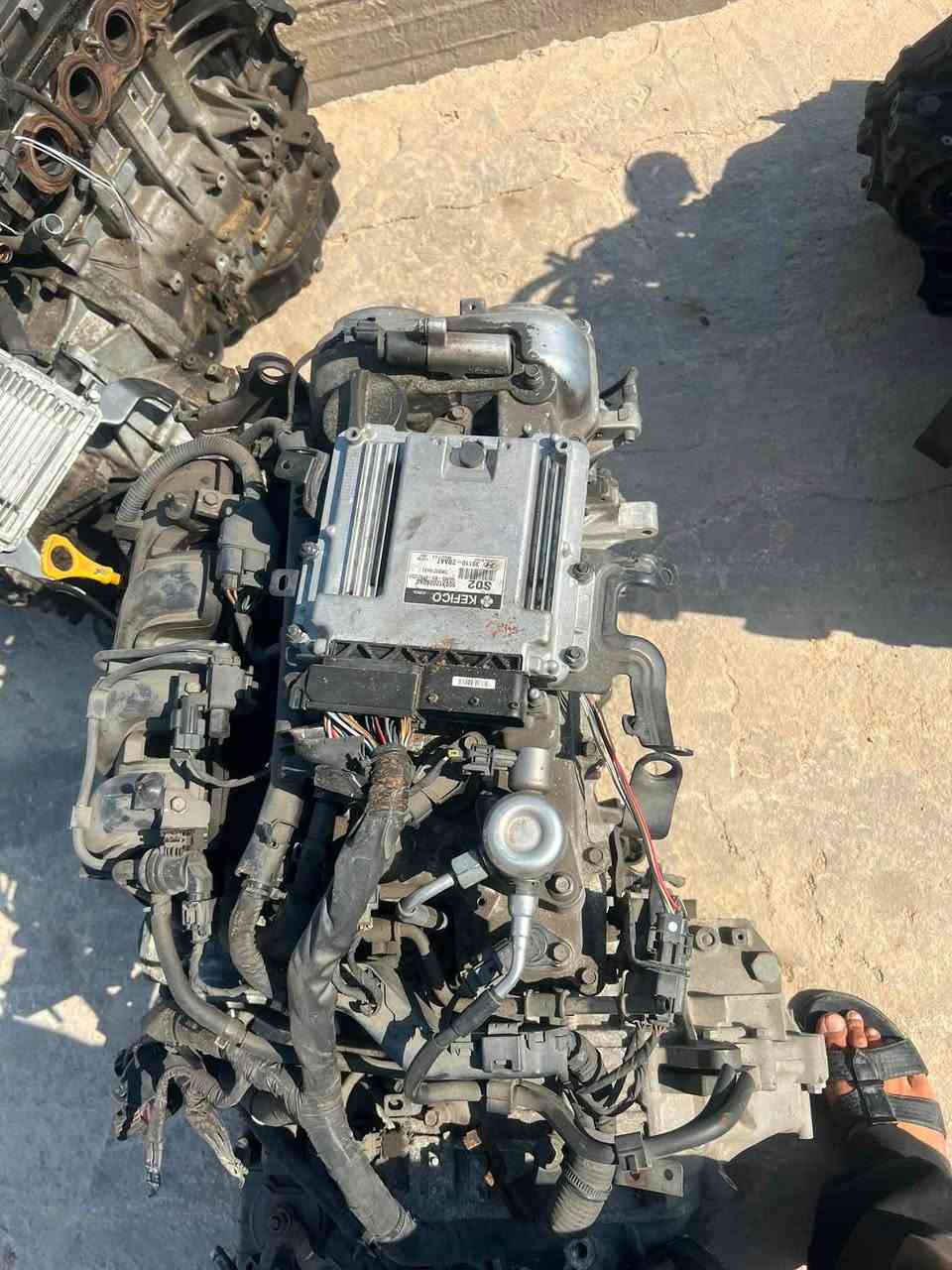 السلام عليكم ورحمة الله وبركاته
يتوفر مكائن كوري تفصيخ 

اكسنت 1600 تحويره كامله 

اكسنت 1400 cvt

مكائن غازيه 2000

ترهم النتر من 12الى 16

مكائن اوبتما 200 

مكائن 1600 GDI

كوري شرط مو صيني وتفصيخ سيارت 

مع ضمان 

للاستفسار 

***********
