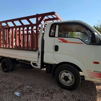 بنكو فحل • مسكر • ٢٠١٧