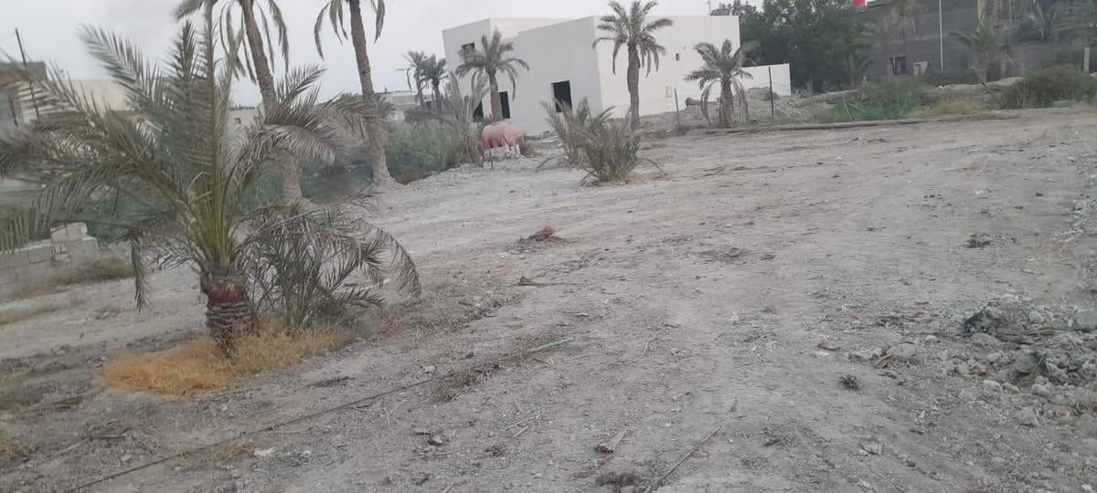 الطريزاويه • ١١٠٤م • طابو صرف