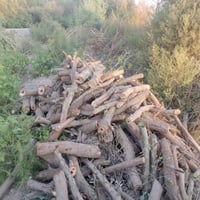 حطب • مال غرب • تفاوض